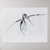 Poster Corneille (Devant)