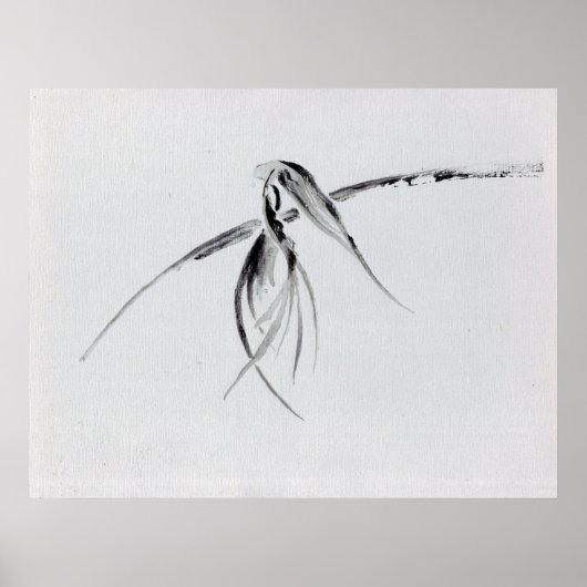 Poster Corneille (Devant)