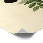 Poster Corneille américaine (Coin)