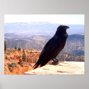 Poster Corneille de NG