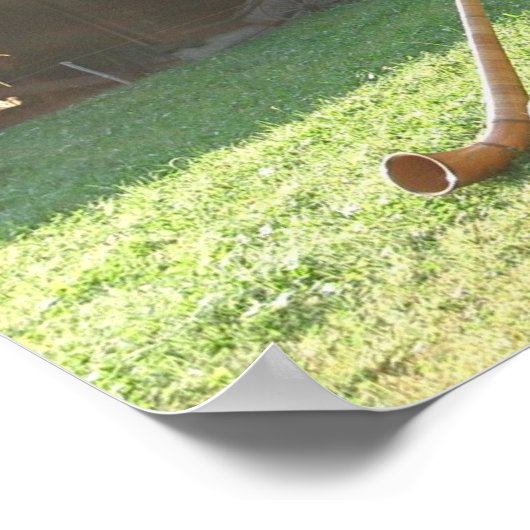 Poster Cornes alpines suisses (Coin)