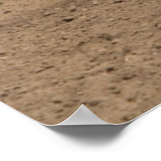 Poster Cornes de dilemme (Coin)