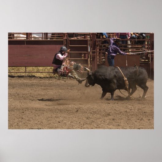 Poster Cornes de dilemme (Devant)