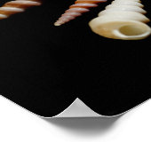 Poster Cornes marines (Coin)