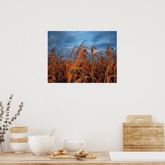 Poster Cornfield (Cuisine)