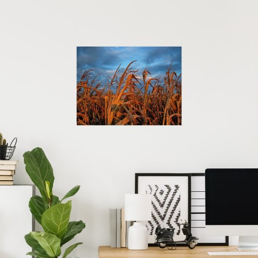 Poster Cornfield (Bureau à domicile)