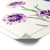 Poster Cornflower de Tanigami Konan (Coin)