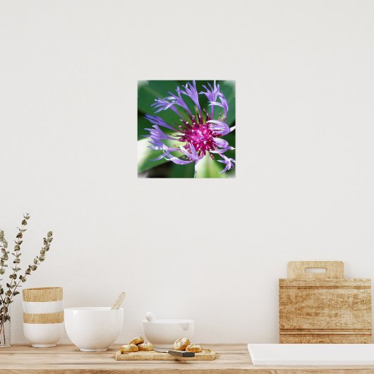 Poster Cornflowers Imprimer (Cuisine)