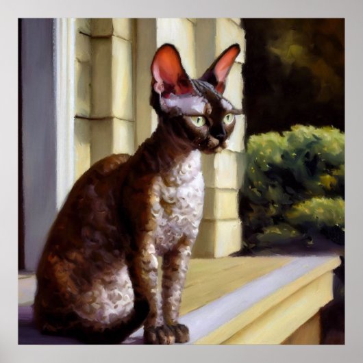 Poster Cornish Rex Cat (Devant)