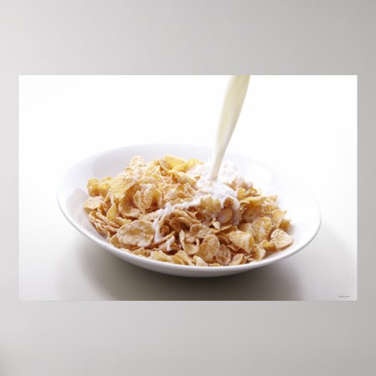 Poster Cornouailles et lait (Devant)