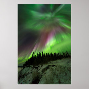 Poster Corona Aurora