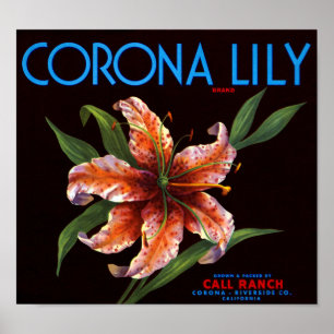 Poster Corona Lily