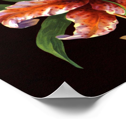 Poster Corona Lily (Coin)