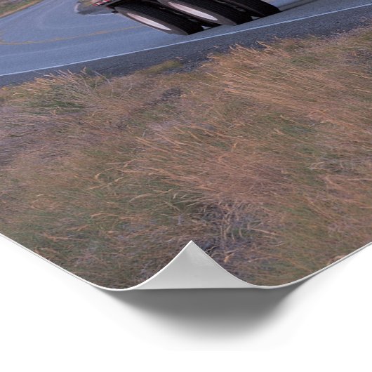 Poster Coronado de fret #12 (Coin)