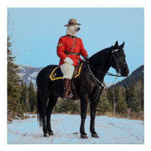Poster Corporal de la GRC ours polaire à cheval