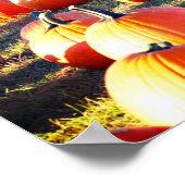 Poster Correctif citrouille (Coin)