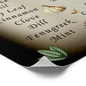 Poster Correspondances des herbes magiques de Witchery de (Coin)