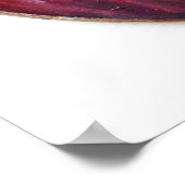 Poster Corse Bleue de Toscane (Coin)