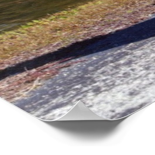 Poster Corso Cane Imprimer (Coin)