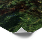 Poster Cortez Colorado Mesa Verde Spruce Tree House (Coin)