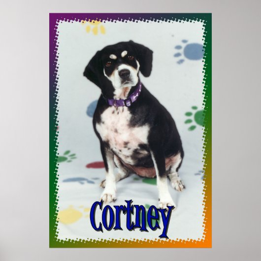Poster Cortney Mon Chien (Devant)