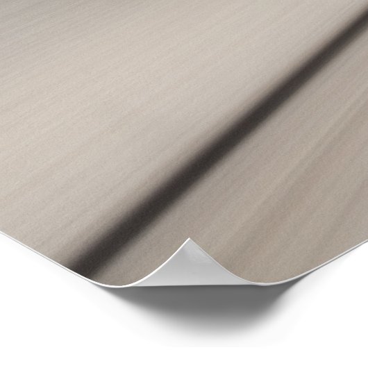 Poster Corvette C7 Z06 (Coin)