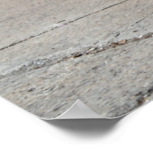 Poster Corvette C7 Z06 (Coin)