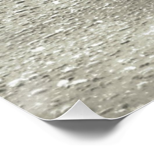 Poster Corw/Raven (Coin)