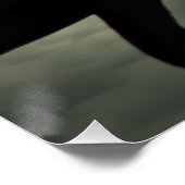 Poster Corw/Raven (Coin)