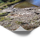 Poster Cosley Lake Outlet - Parc national des Glaciers (Coin)