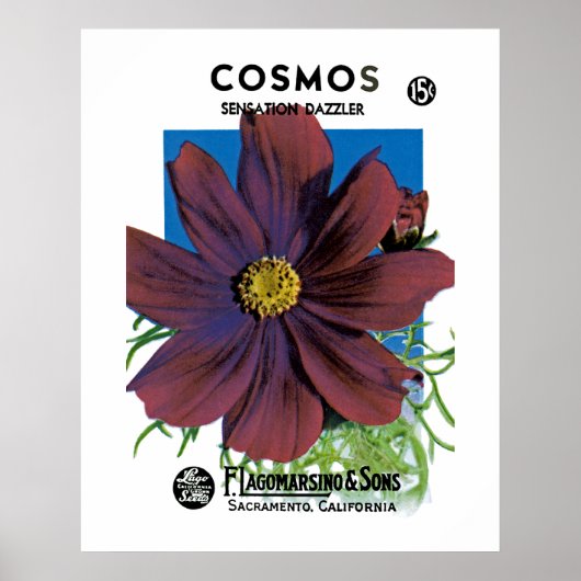 Poster Cosmos (Devant)