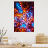 Poster Cosmos colorés (Cuisine)