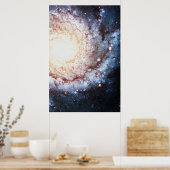 Poster Cosmos colorés (Cuisine)