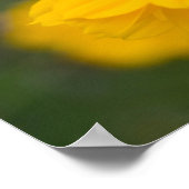 Poster Cosmos de soufre 02 (Coin)