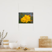 Poster Cosmos de soufre 02 (Cuisine)