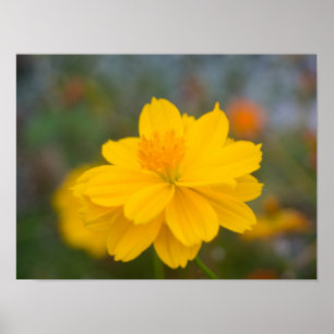 Poster Cosmos de soufre 02