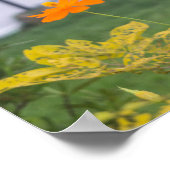 Poster Cosmos de soufre 03 (Coin)