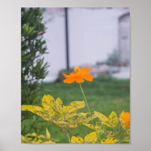 Poster Cosmos de soufre 03 (Devant)