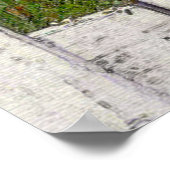 Poster Cosmos et picket (Coin)