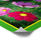 Poster Cosmos Flower Trio Mirror Abstrait (Coin)