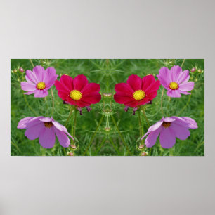 Poster Cosmos Flower Trio Mirror Abstrait