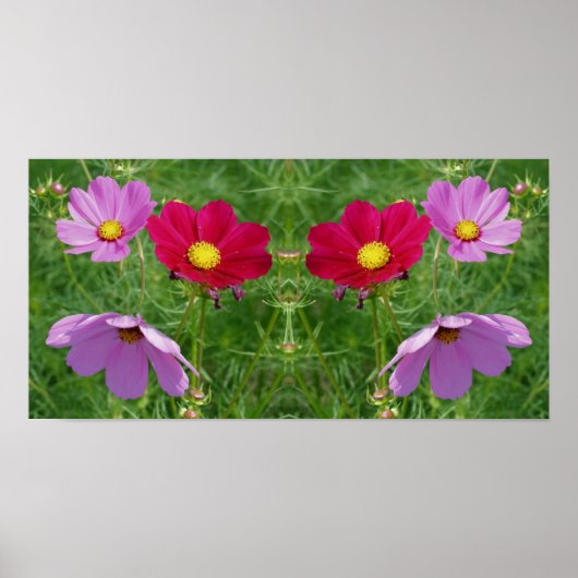 Poster Cosmos Flower Trio Mirror Abstrait (Devant)