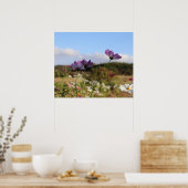 Poster Cosmos Flowers (Cuisine)