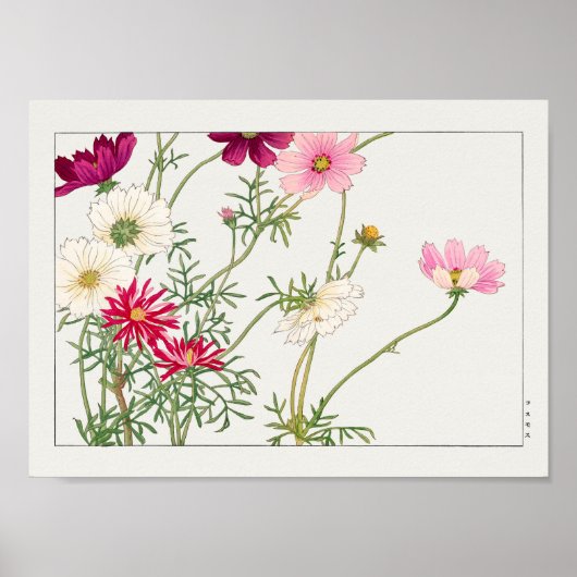 Poster Cosmos par Tanigami Konan (Devant)