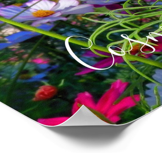 Poster Cosmos [Poster] (Coin)