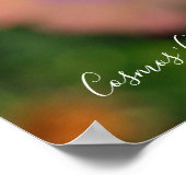 Poster Cosmos [Poster] (Coin)