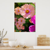 Poster Cosmos [Poster] (Cuisine)