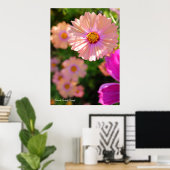 Poster Cosmos [Poster] (Bureau à domicile)