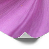 Poster Cosmos rose Fleur sauvage Floral (Coin)