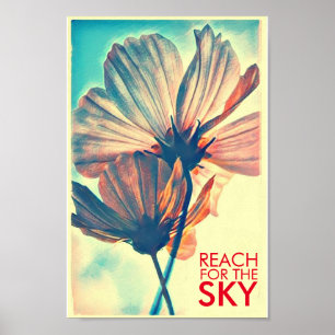 Poster Cosmos rose pour la citation Sky